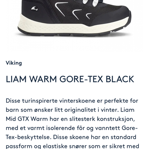 Nye Viking Liam Goretex sko 37