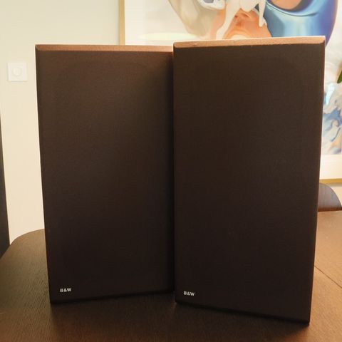 Bowers & Wilkins DM10 velholdte høytalere