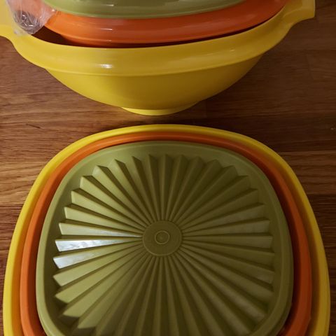 Tupperware  Florida skåler.