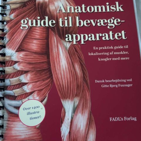 anatomisk guide til bevægeapparatet