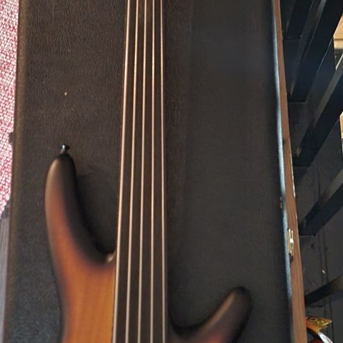 Ibanez SRF705 5-String Fretless.