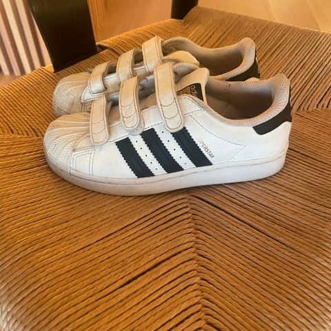 Adidas superstar 31