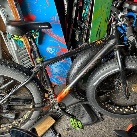 Fatbike Diamant F4