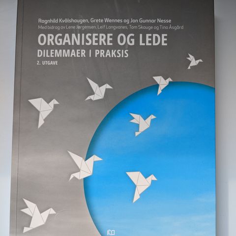 Organisere og lede - dilemmaer i praksis