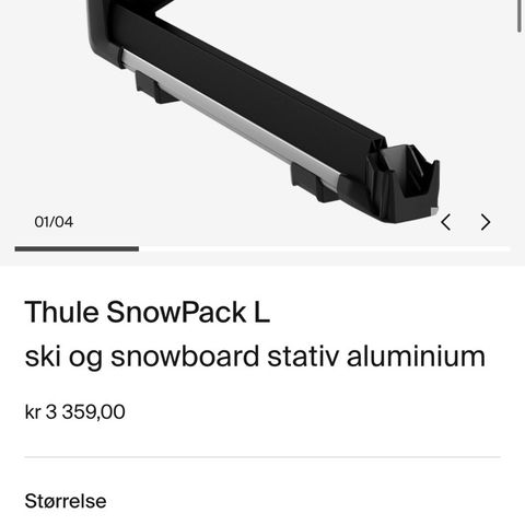 Thule Snowpack L