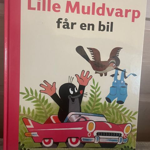 Lille muldvarp får en bil