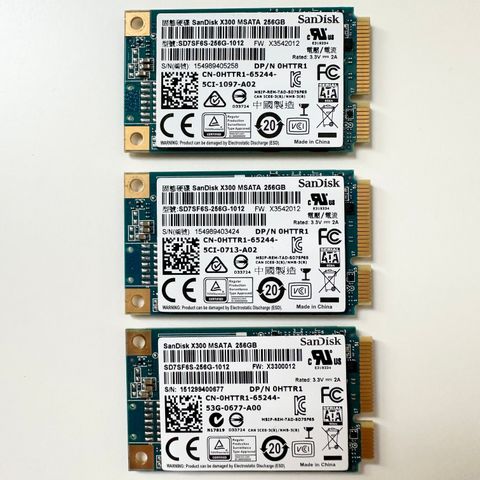 SanDisk X300 mSATA SSD Modules - 256 GB