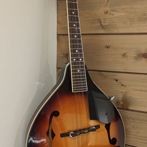 Mandolin