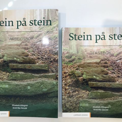 Stein pa stein. Tekstbok+Arbeidsbok