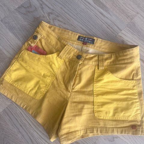 Amundsen shorts