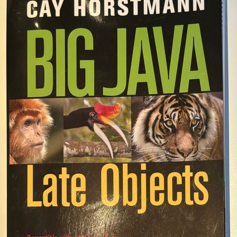 «Big Java - Late Objects» - Cay Horstmann