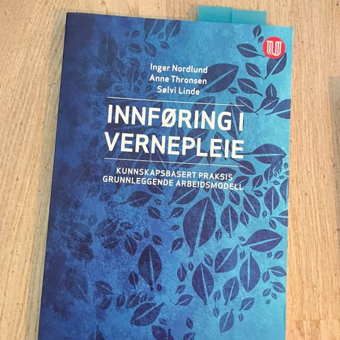 Innføring i vernepleie