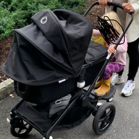 Helsvart Bugaboo Fox 2