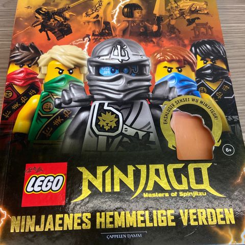 Ninjago, Ninjaenes hemmelige verden bok.