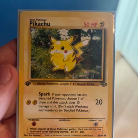 Pikachu Jungle 1st edition pokemon kort