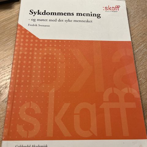 Sykdommens mening - og møtet med det syke mennesket