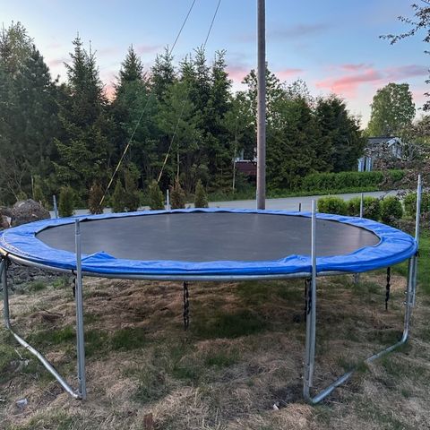 Trampoline