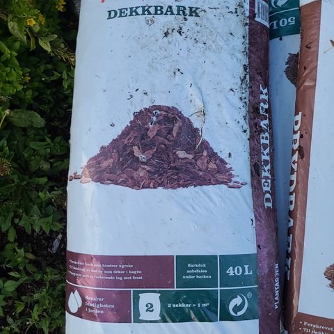 Dekkbark