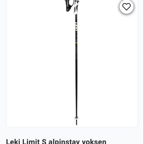 Leki slalomstaver