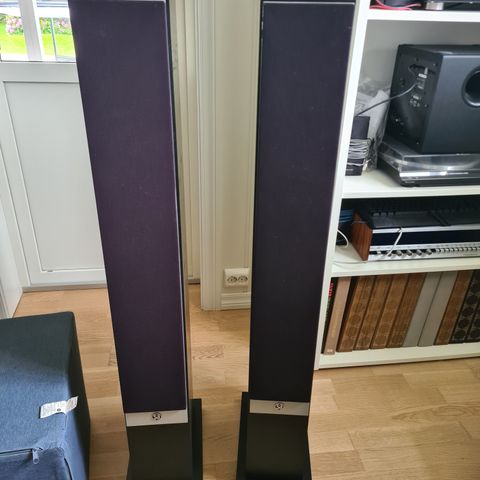 Høytaler System Audio Mantra 60