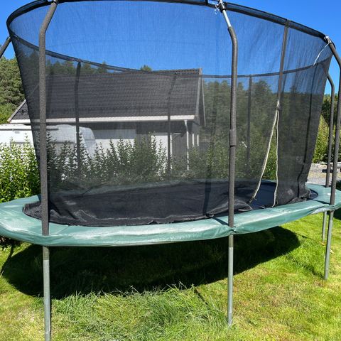 Trampoline Oval