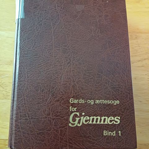 gards og ættesoge for gjemnes,bind 1