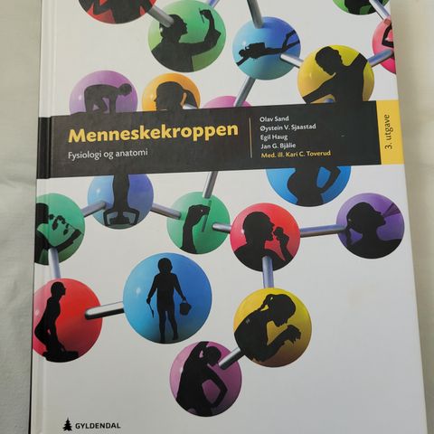 Menneskekroppen bok