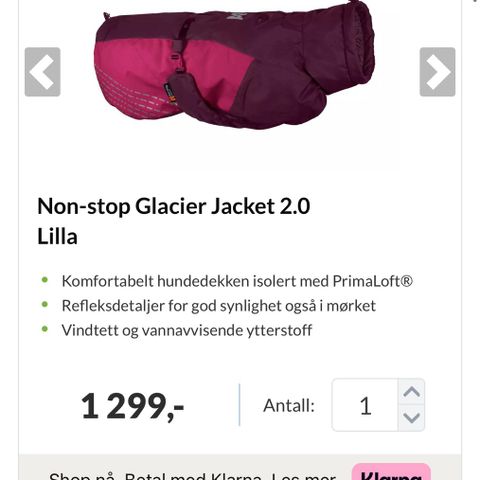 Non stop Glacier jacket 2.0