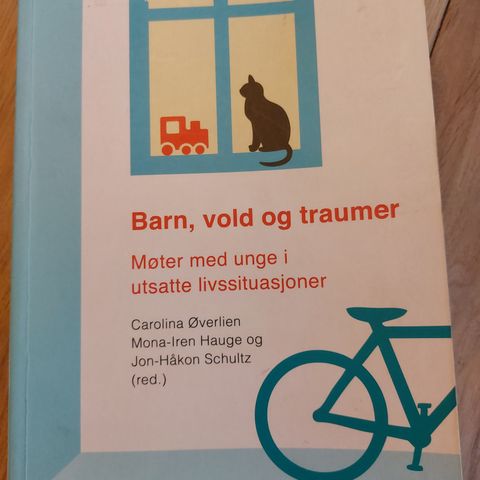 Barn, vold og traumer; møter med unge i utsatte livssituasjoner