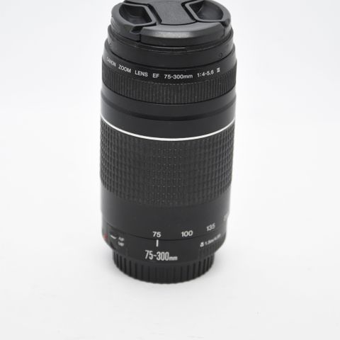 Canon EF 75-300mm f4-5.6 III