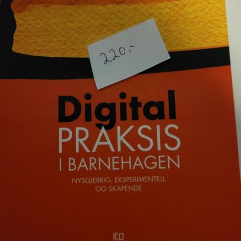 Digital praksis i barnehagen. Barnehagelærerstudie