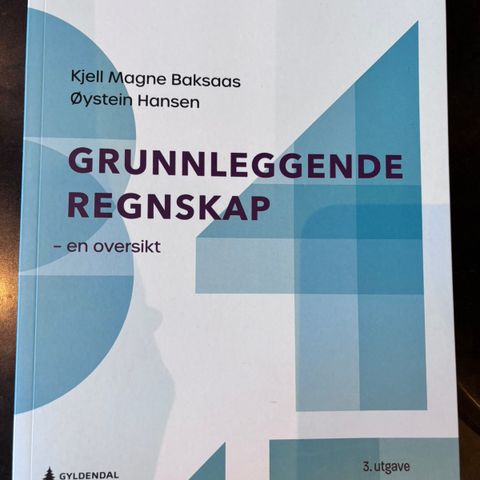 Grunnleggende regnskap - en oversikt