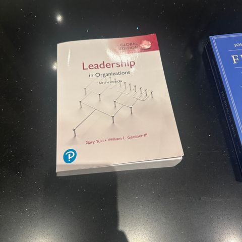 Leader in Organizations