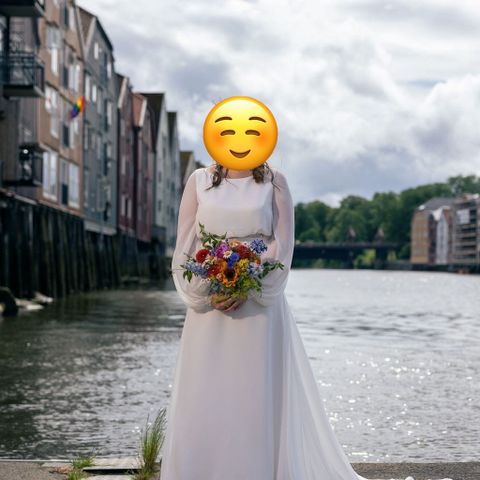 Brudekjole Pronovias Hera