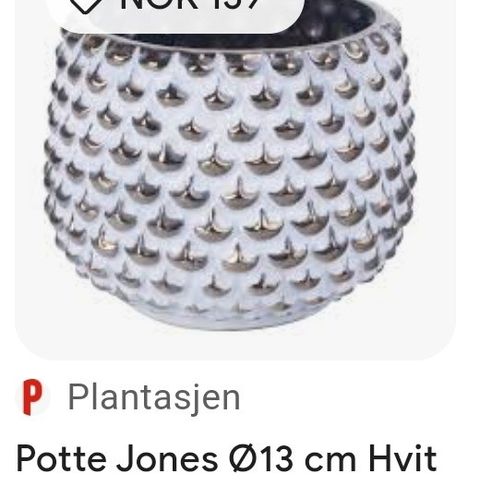 Jones potte fra plantasjen