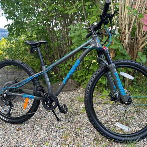 Frog Bikes MTB 62 - Som ny!