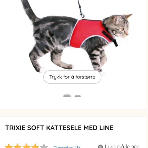 Myk behagelig kattesele med bånd og flexi line. Kjøpt hos PetXL.