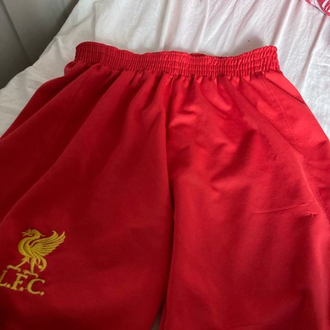 Liverpool shorts