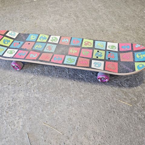 Skateboard