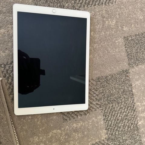 iPad pro 1 generasjon 128 GB 12,9 tommer