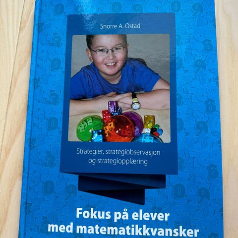 Fokus på elever med matematikkvansker