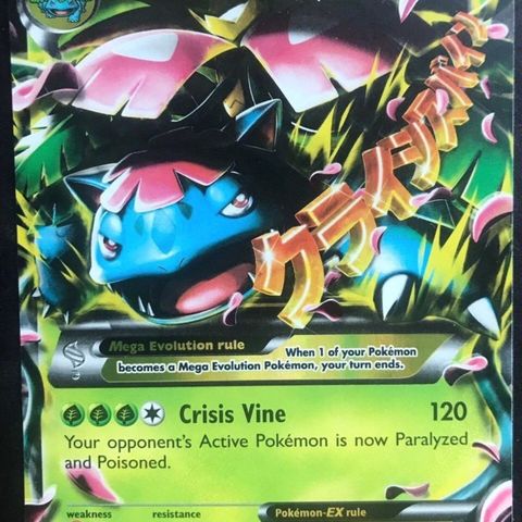 Mega venusaur ex pokemon kort