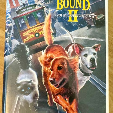 Walt Disney Homeward Bound II vhs Bigbox