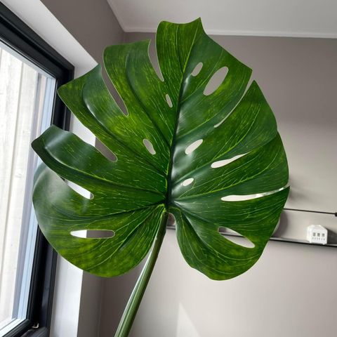 Monstera (kunstig) - et stort blad