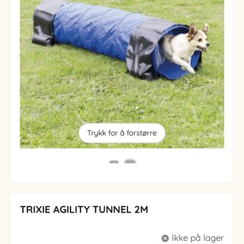 Agility tunnel