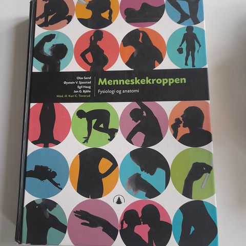 Menneskekroppen