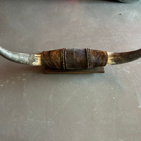 vintage western bullhorn