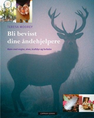 Bli bevisst dine åndehjelpere. + Div. alternativ litteratur