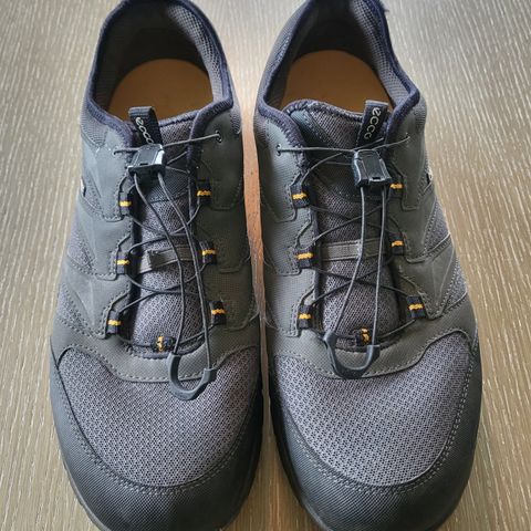 Goretex Ecco sko str 42