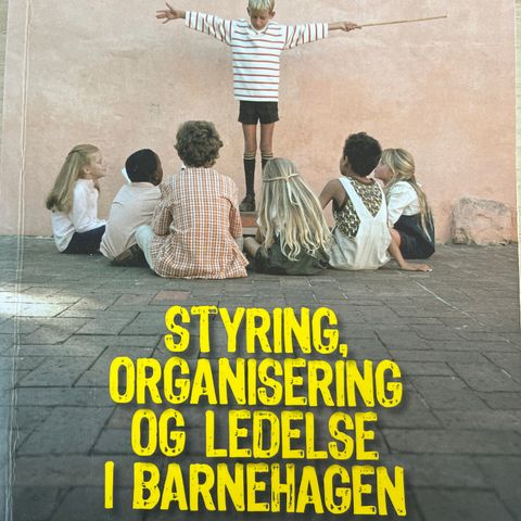 Barnehagelærer bok